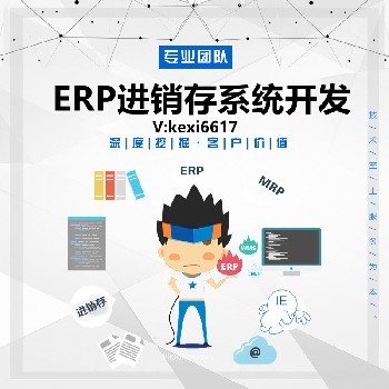ERP进销存管理系统定制开发