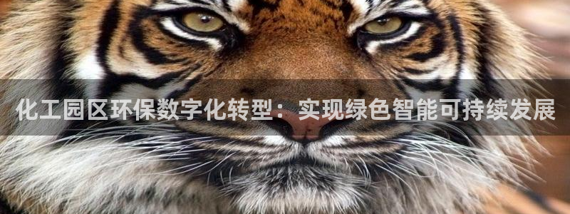 亿万先生手游下载安装：化工园区环保数字化转型：实现绿色智能可持续发展