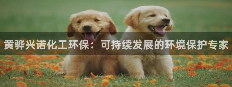 亿万第一季字幕：黄骅兴诺化工环保：可持续发展的环境保护专家