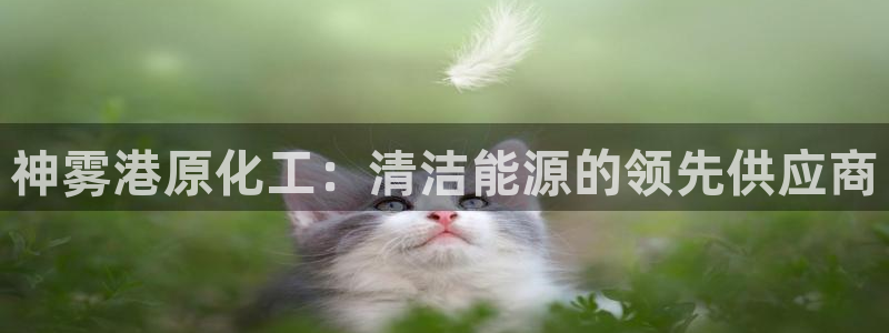 亿万先生手游下载：神雾港原化工：清洁能源的领先供应商