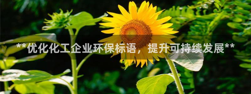 mr8001亿万先生在线存款：**优化化工企业环保标语，提升可持续发展**