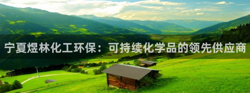 亿万网红：宁夏煜林化工环保：可持续化学品的领先供应商