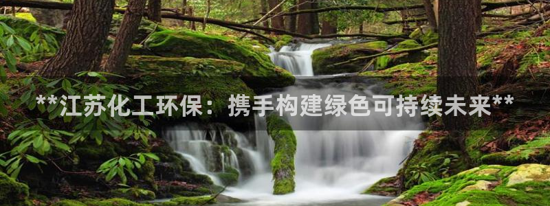 亿万下载：**江苏化工环保：携手构建绿色可持续未来**