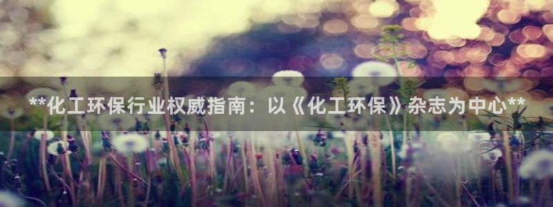 亿万先生m007：**化工环保行业权威指南：以《化工环保》杂志为中心**