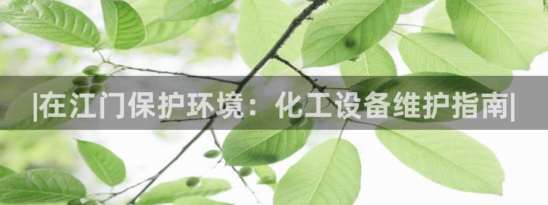 亿万集团有限公司：|在江门保护环境：化工设备维护指南|