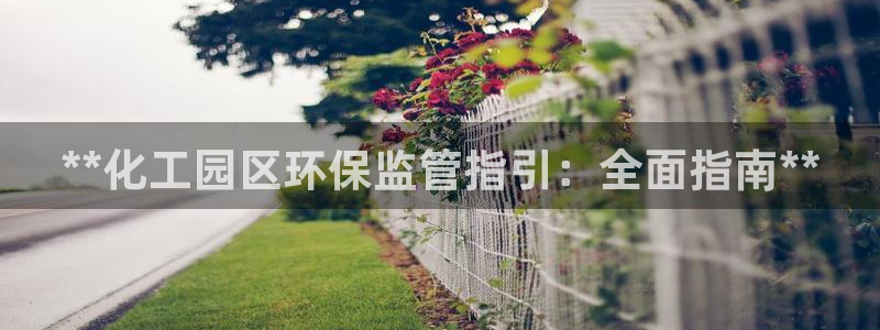 亿万国际平台是正规的吗安全吗：**化工园区环保监管指引：全面指南**