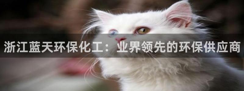 亿万先生手游下载官网：浙江蓝天环保化工：业界领先的环保供应商