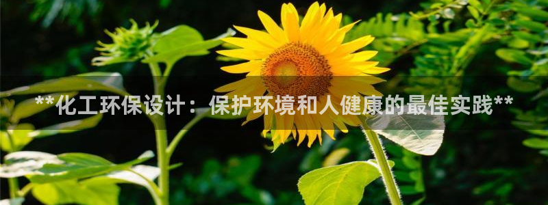 亿万城市手游：**化工环保设计：保护环境和人健康的最佳实践**