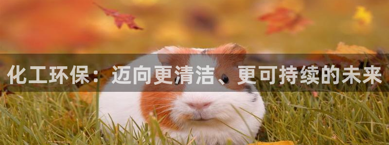 亿万先生 手机版下载：化工环保：迈向更清洁、更可持续的未来