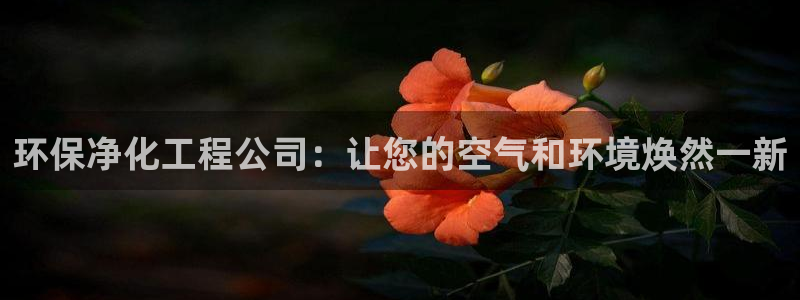 亿万先生网址改了吗：环保净化工程公司：让您的空气和环境焕然一新