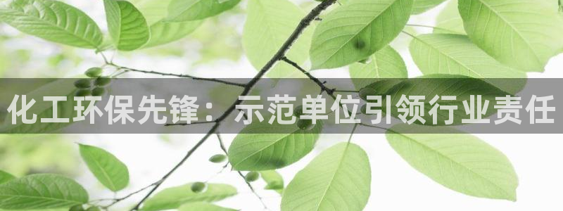 亿万先生合并网址：化工环保先锋：示范单位引领行业责任