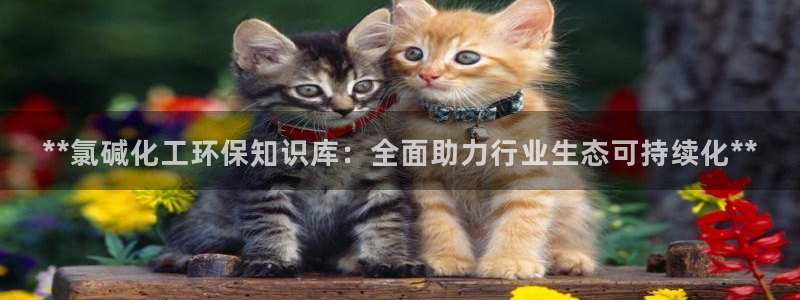 亿万先生客户端官网登录入口：**氯碱化工环保知识库：全面助力行业生态可持续化**