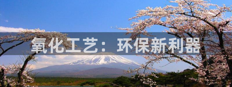 亿万先生手机客户端：氧化工艺：环保新利器