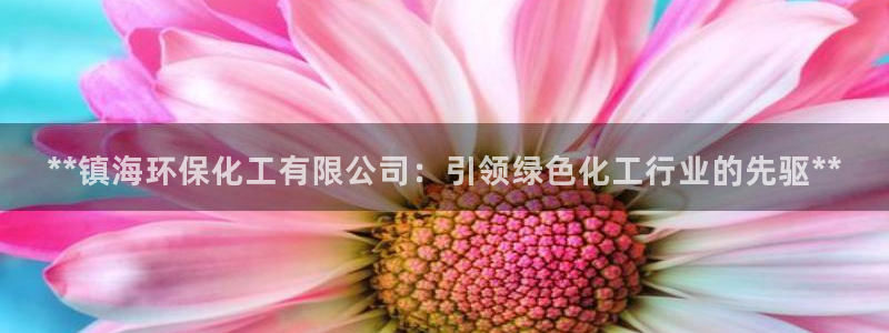 亿万先生现在的网址谁知道是真的：**镇海环保化工有限公司：引领绿色化工行业的先驱**