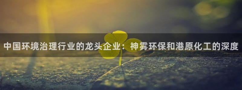 亿万个世界 科幻简介：中国环境治理行业的龙头企业：神雾环保和港原化工的深度