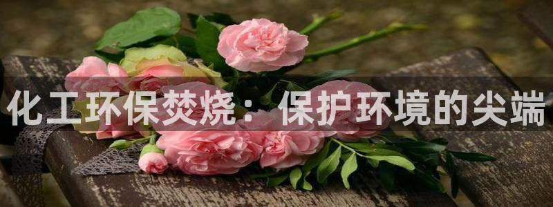 亿万同人字幕分享jogoduplo：化工环保焚烧：保护环境的尖端