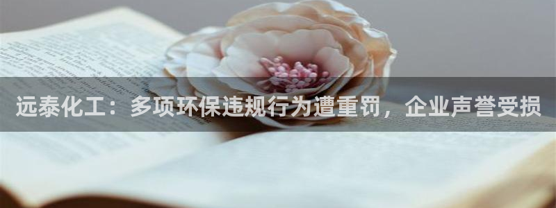 亿万先生网站：远泰化工：多项环保违规行为遭重罚，企业声誉受损