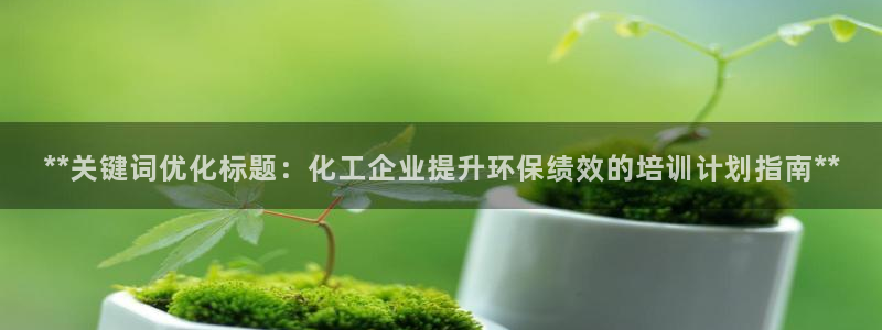 亿万购平台最新消息：**关键词优化标题：化工企业提升环保绩效的培训计划指南**