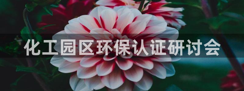 亿万先生客户端官网下载：化工园区环保认证研讨会