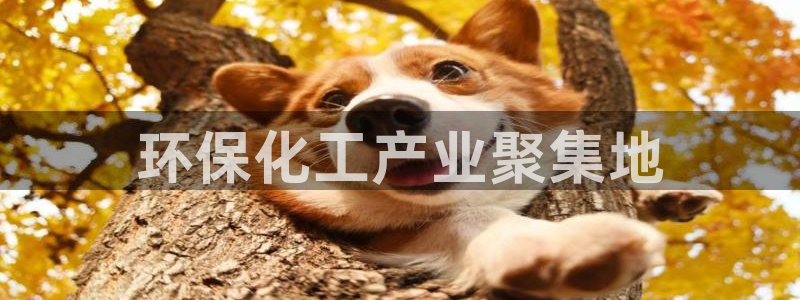 亿万先生客户端下载安装：环保化工产业聚集地