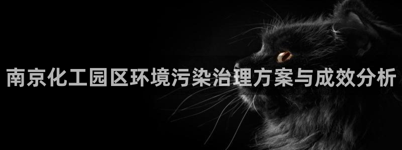 亿万先生手机版入：南京化工园区环境污染治理方案与成效分析