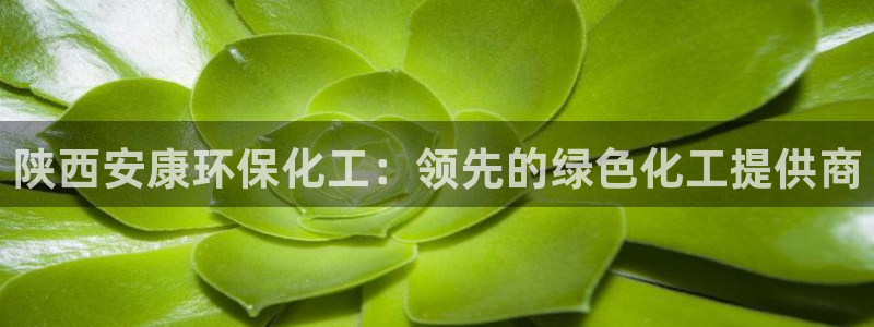 亿万网络科技有限公司：陕西安康环保化工：领先的绿色化工提供商