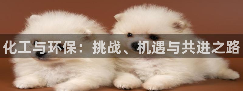 亿万剧情简介：化工与环保：挑战、机遇与共进之路