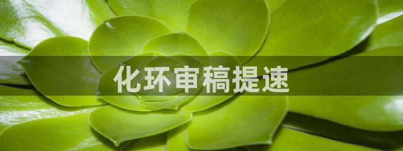 亿万先生是男是女：化环审稿提速
