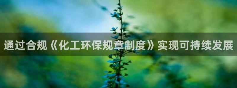 亿万先生是男是女：通过合规《化工环保规章制度》实现可持续发展