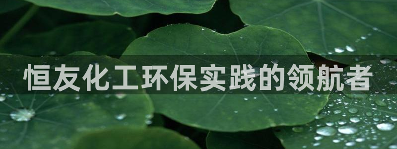 亿万先生官方网站客户端下载安装手机版：恒友化工环保实践的领航者