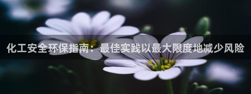 亿万先生客户端官网下载：化工安全环保指南：最佳实践以最大限度地减少风险