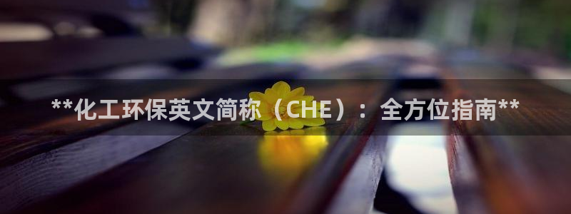 mr07亿万先生：**化工环保英文简称（CHE）：全方位指南**