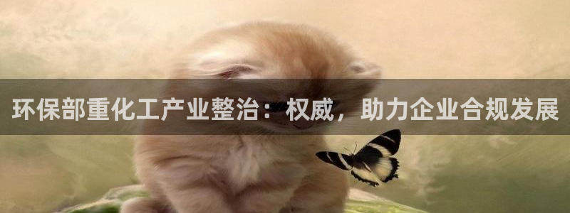 亿万首富游戏：环保部重化工产业整治：权威，助力企业合规发展