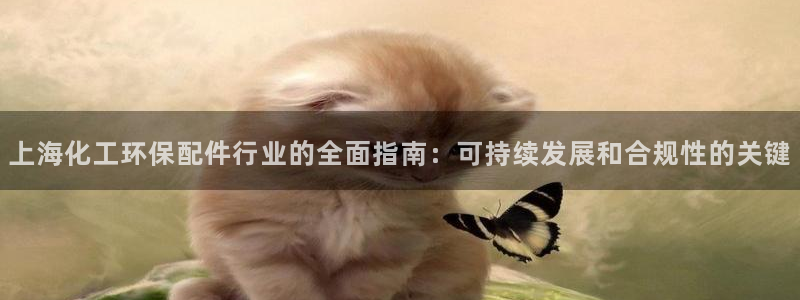 亿万网络科技有限公司ceo：上海化工环保配件行业的全面指南：可持续发展和合规性的关键