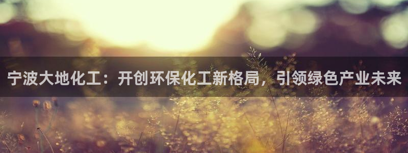 亿万先生mr01官网 - 亿万先生手机版入：宁波大地化工：开创环保化工新格局，引领绿色产业未来