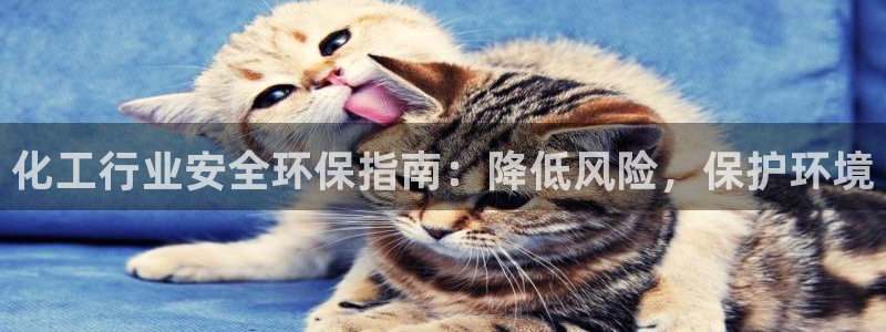 亿万先生网站：化工行业安全环保指南：降低风险，保护环境
