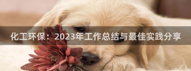 官方网站下载亿万人生：化工环保：2023年工作总结与最佳实践分享
