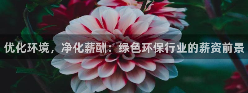 亿万先生合并网址是什么：优化环境，净化薪酬：绿色环保行业的薪资前景