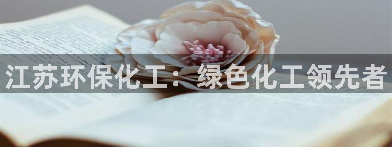 亿万剧情详解：江苏环保化工：绿色化工领先者