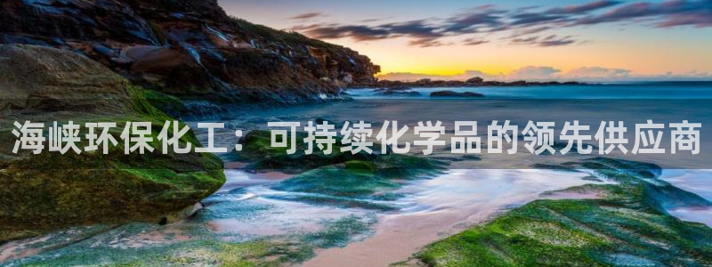 亿万首富手游：海峡环保化工：可持续化学品的领先供应商