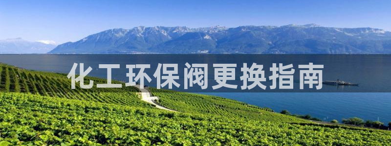 亿万先生mr008：化工环保阀更换指南