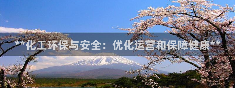 亿万官网字幕组官网下载：**化工环保与安全：优化运营和保障健康**