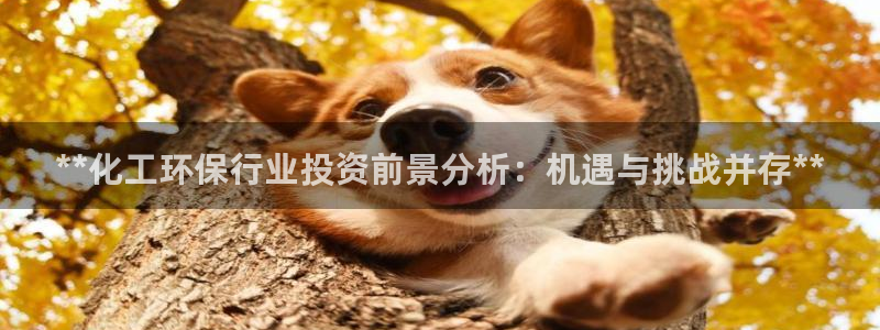亿万下载第三季：**化工环保行业投资前景分析：机遇与挑战并存**