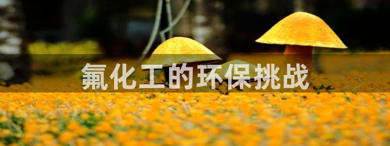 亿万解析：氟化工的环保挑战