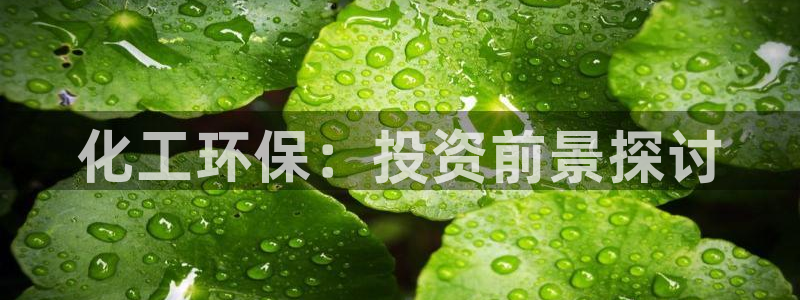 亿万剧情介绍：化工环保：投资前景探讨