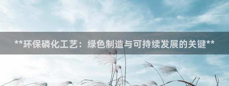 亿万先生下载网址app：**环保磷化工艺：绿色制造与可持续发展的关键**