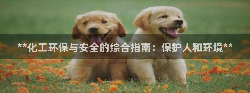亿万的亿：**化工环保与安全的综合指南：保护人和环境**