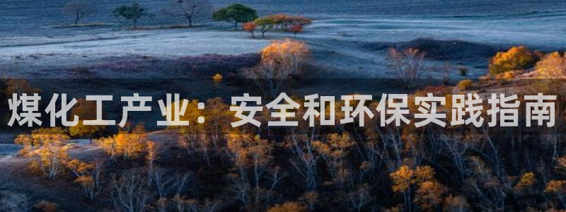 亿万先生MR - 亿万先生mr008cc：煤化工产业：安全和环保实践指南