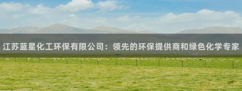 亿万讲了什么：江苏蓝星化工环保有限公司：领先的环保提供商和绿色化学专家