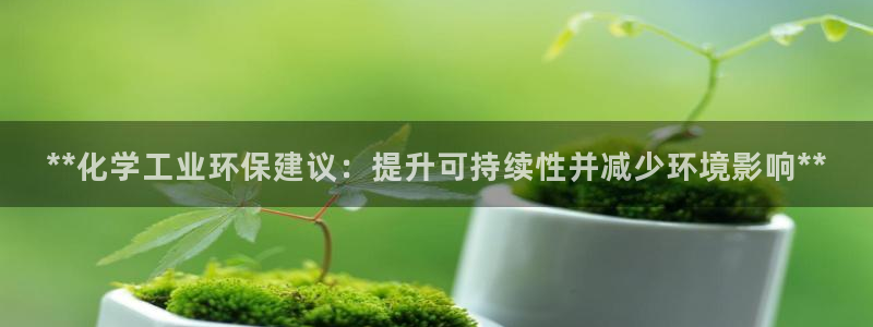 亿万笞人：**化学工业环保建议：提升可持续性并减少环境影响**